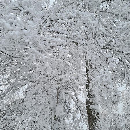 Bergbutzen Mit Balkon Lägenhet Braunlage Exteriör bild